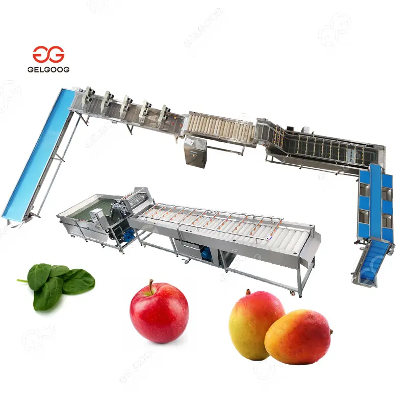 Máquina de limpieza de ensaladas con Mango de fresa, precio de fábrica, equipo de clasificación de secado, secadora de espinaca y manzana