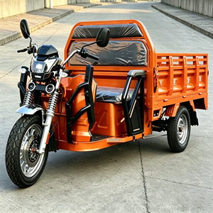 Tricycle cargo avec double certification EEC COC, boîte de chargement de 1,6 m, capacité de charge de 500 kg <span class=keywords><strong>pour</strong></span> le marché européen, 40 km/h - Product Image 2