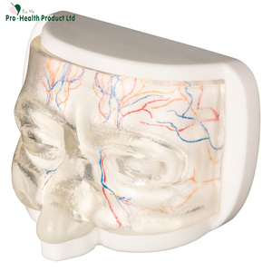 Simulateur ophtalmique : Kit d'entraînement à l'injection <span class=keywords><strong>de</strong></span> vaisseaux sanguins simulés pour étudiants en médecine, médecins, aide pédagogique, sciences médicales, OEM - Product Image 3