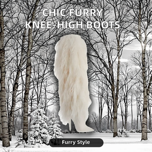 אירופה אמריקאי אופנה מגפיים חורף אופנה מגפי הברך נשים סגירת רוכסן גבוה נעלי נשים פרוותי-עבור סתיו ואביב - Product Image 2