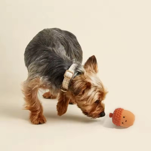 Giocattoli di masticazione per cani indistruttibili per la pulizia dei denti interattivi e di movimento giocattoli Spiller in lattice - Product Image 1