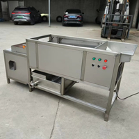 Machine à décortiquer les œufs motorisée automatique en acier inoxydable 304, capacité de 3000 œufs/heure pour œufs de caille et de poulet, pour les transformateurs alimentaires
