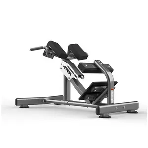 Bodybuilding training sport gym equipment integrated Adjustable Power training machine Hyperextension RF-1006