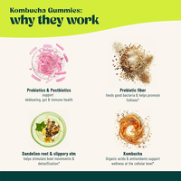Complément alimentaire probiotique et postbiotique en gommes de kombucha saveur baies, marque privée OEM, avec fibres prébiotiques pour la santé digestive et intestinale
