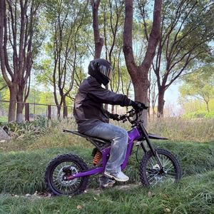 Moto Elettrica da Fabbrica Cinese 1500W/2000W Grande Potenza Batteria al Litio Freno a Disco 3 Velocità - Product Image 5