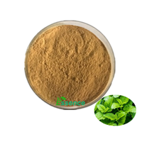 Extrait d'ingrédient de supplément naturel, extrait de mélisse de haute qualité en poudre