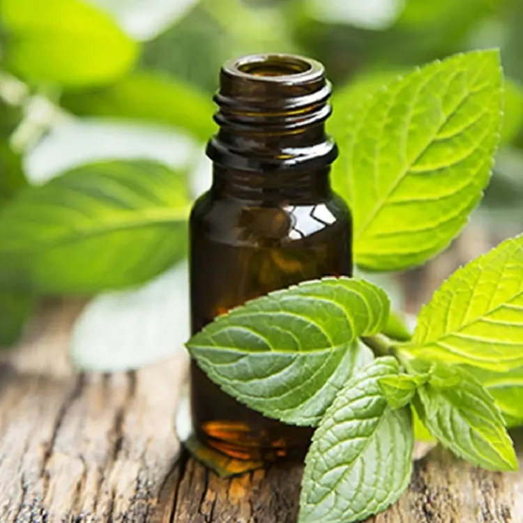 Olio essenziale di menta piperita naturale HAIRUI per il messaggio del corpo per rilassare l'olio di menta piperita pura