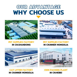 100% tự nhiên Bentonite mèo xả rác mạnh mẽ mùi khóa và clumping Chất lượng cao cấp <span class=keywords><strong>Arena</strong></span> - Product Image 3