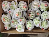Nieuwe oogst verse peren Chinese leverancier import bulk groothandel aanbod kroonperen verse export