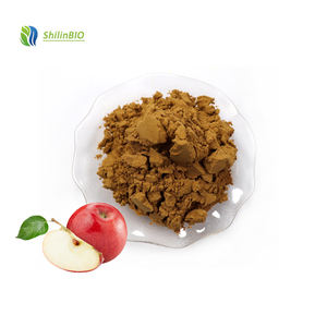 Cung cấp Nhà Máy chiết xuất táo 30% 40% 50% 60% 70% <span class=keywords><strong>Apple</strong></span> polyphenol - Product Image 1