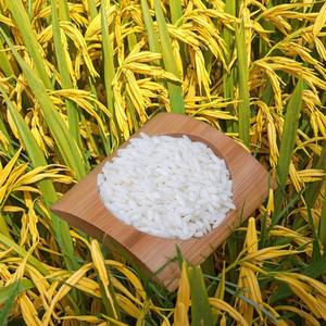 [Approvisionnement ponctuel] Riz Koshihikari faible en protéines Forica 180g Premium, soin instantané des reins, régimes alimentaires sains, temps de cuisson de 2 à 12 minutes - Product Image 5