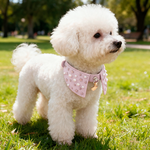 Lujo perla Metal estrella remache Bling <span class=keywords><strong>Collar</strong></span> de perro cuero suave reciclado Rhinestone <span class=keywords><strong>Collar</strong></span> de Mascota para fiesta caminar boda - Product Image 2