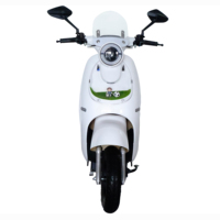 Scooter Eléctrico Inteligente de Dos Ruedas con Sensor Digital, de Aluminio, Resistente al Agua, de Largo Alcance, 1000W, para Adultos, Entrega en la Ciudad, CE Bulk