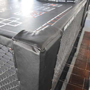 Prix de gros Fabricant chinois <span class=keywords><strong>UFC</strong></span> Ring Boxing Ring Corn <span class=keywords><strong>Mini</strong></span> Boxing Ring Prix - Product Image 4