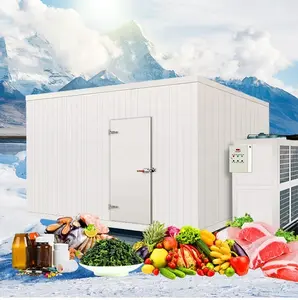 Xmk andar no quarto congelador, sala de armazenamento frio e fresco com alta eficiência, sala de compressor e unidade de condensamento
