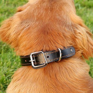 2024 yeni ürün tedarikçileri başak köpek tasması s Anti Bite emniyet Metal perçin özelleştirilebilir deri köpek tasması köpek tasması - Product Image 6
