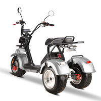 Motocicleta Eléctrica de Tres Ruedas Estilo Harley de Alta Velocidad para Adultos, con Alta Relación Costo-Rendimiento y Rendimiento Estable, 60V 2000-4000W