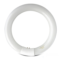 Lampe anti-moustiques G10Q T9, lampe fluorescente UV circulaire 22W, lumière à économie d'énergie pour la maison et le bureau