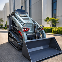 Mini Chargeuse Compacte sur Chenilles Économique, Moteur Kubota EPA Euro 5, Capacité de Charge 550 kg pour Jardin et Travaux Dom