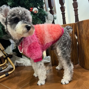 Ropa para Perros al por Mayor, Linda y Personalizada para Bodas y San Valentín, Ropa de Lujo para Mascotas, Ropa de Boutique para Perros - Product Image 3