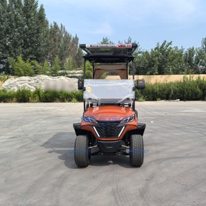 Voiturette de golf tout-terrain électrique 4 places avec climatisation, chariots de golf utilitaires, transport spécial - Product Image 4