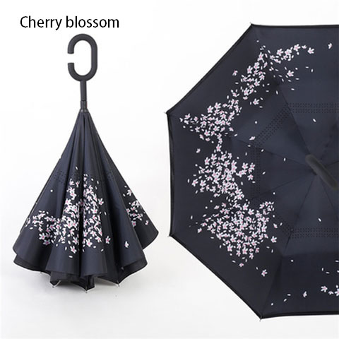 cherry blossom