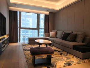 Tapis de salon de grande taille, style moderne, antidérapant, à imprimé animal, tissé à la main, haut de gamme - Product Image 2