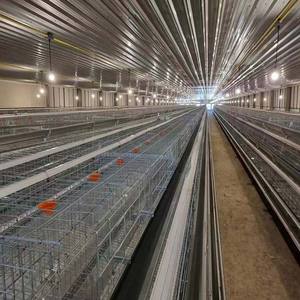 Cage de batterie pour volaille de viande pour équipement d'élevage d'animaux et de volailles de poulet de couche - Product Image 4