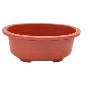 Plastic large big 44cm oval-shaped elliptical terracotta cheap Chinese garden bonsai pots for Australia