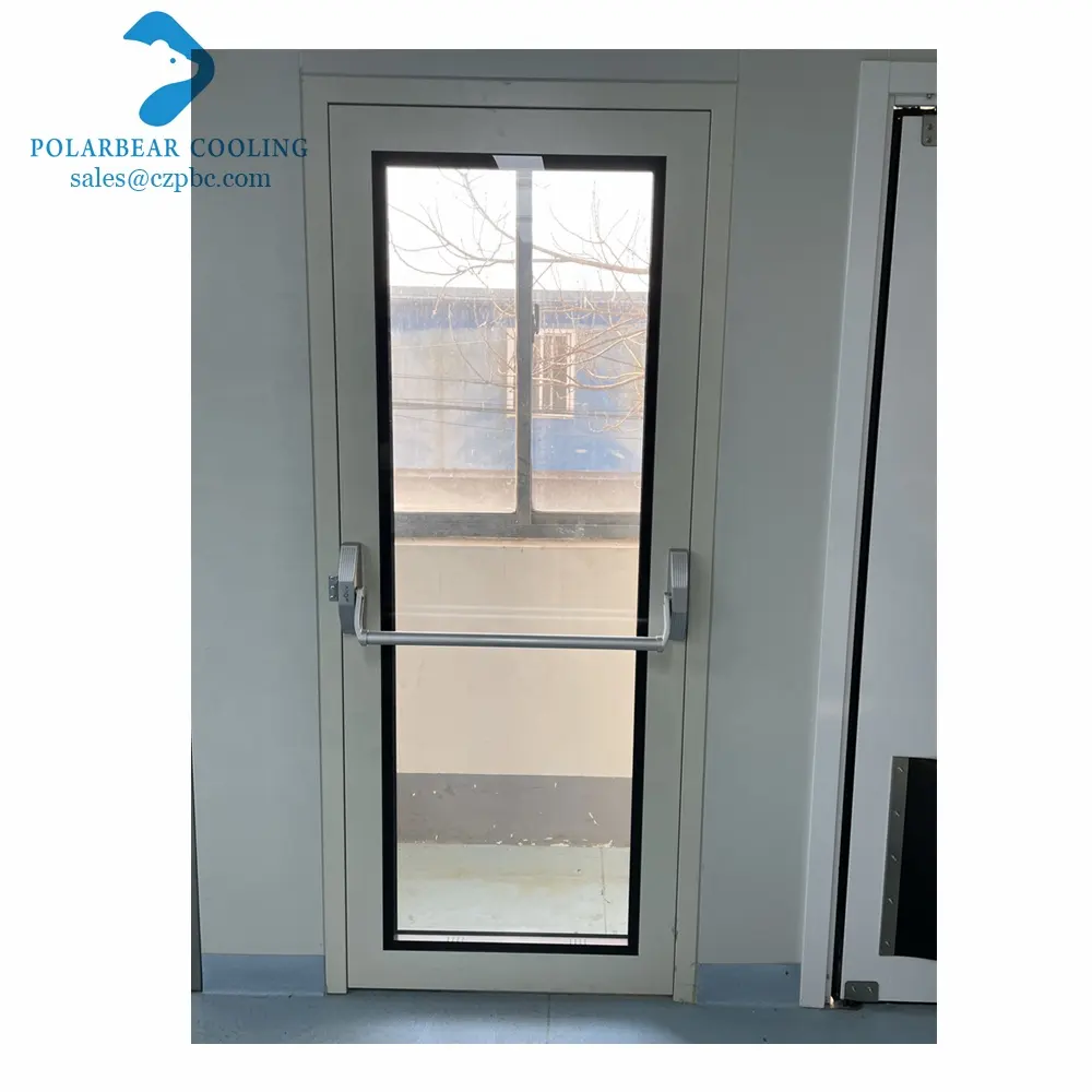 Fire Resistant Clean Room Metal Frame Glass Emergency Exit Security Door with Push Bar