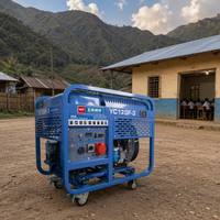 Générateur diesel de haute qualité 12000W YC12GF-3, bicylindre, 997cc, refroidi par air, groupe électrogène diesel portable