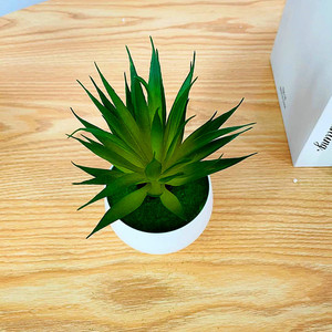 Planta Suculenta Artificial Qi Xing de 18 cm, PVC Suave, Decoración para el Hogar - Product Image 3