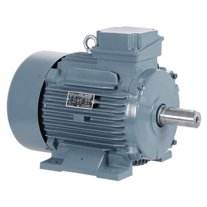 Moteur asynchrone triphasé YE2-180M-2 22KW 380V 50Hz, efficacité IE2, protection IP55, étanche, encastré, anti-goutte, en fonte - Product Image 1