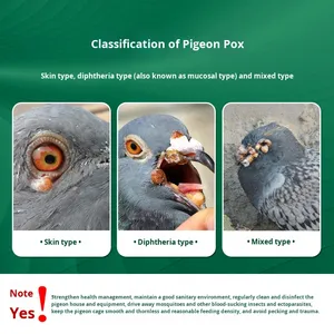 Suplemento Vitamínico para el Tratamiento de la Viruela Aviar, Elimina la Infección, Píldoras para Eliminar la Viruela en Aves - Product Image 2