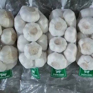 Ajo Blanco Normal Certificado Jin <span class=keywords><strong>Xiang</strong></span> Shandong, Marca Fenduni, Cosecha Nueva, Fresco, de Alta Calidad, Precio al por Mayor, 4.5-6.5cm, Enfriado - Product Image 3