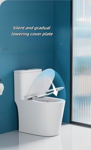 Hộ Gia Đình Hiện Đại một mảnh gốm WC nhà vệ sinh kéo dài tuôn ra bát dual-tuôn ra tầng gắn siphonic cho phòng tắm sử dụng - Product Image 5