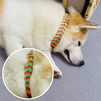 Collier pour chien tressé artisanal de qualité supérieure, design élégant, collier recouvert de PVC pour chiots