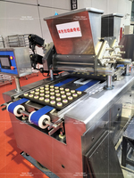 Machine à mouler les biscuits à double couleur haute capacité, extrudeuse de biscuits entièrement automatique, équipement de transformation pour boulangerie