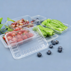 Recyclable Disposable Food Grade <strong>PET</strong> <strong>Blister</strong> <strong>Packaging</strong> Fruit Tray Clear <strong>Transparent</strong> Customizable Printing - Product Image 1