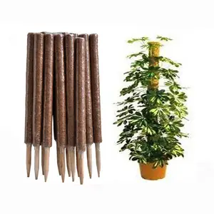 Totem Wooden Garden Pole Stake Decoration Stilish Round Peony Stick Plant Support For Plant Support