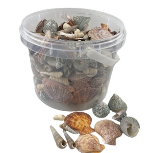 Cesto Ecologico di Conchiglie per Decorazioni Artigianali e Regali - Product Image 5