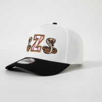 Gorra de Béisbol Clásica de Dos Tonos, Estructurada, Personalizada, de 5 Paneles, con Logotipo Bordado del Equipo o Club, con Cierre a Presión