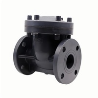 DIN/JIS/ANSI ASME 150 #   Vanne de retenue à union véritable sans retour certifiée CE/ISO/API pour raccords de tuyauterie en PVC/UPVC/CPVC/PPH/PVDF Sch80 EPDM