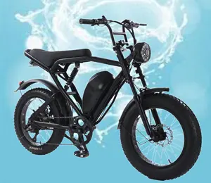 Sıcak satış HaLie 20 inç yağ lastik e-bisiklet 350w kentsel elektrikli bisiklet 25 km/s yetişkin Fatbike