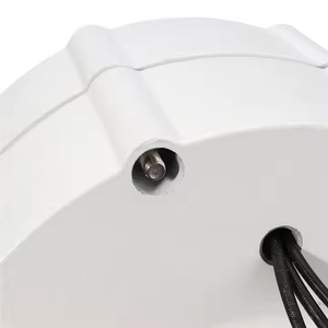 Générateur 400W 600W 12V 24V Haute puissance de sortie Générateur à aimants permanents sans engrenage à arbre unique Alternateurs AC <span class=keywords><strong>DIY</strong></span> Turbine éolienne - Product Image 3