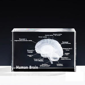 दृश्यमान रक्त प्रणाली k9 क्रिस्टल 3 डी मानव हृदय मॉडल लेजर द्वारा कार्डियोलॉजी उपहारों के लिए - Product Image 3