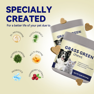 Fornitura di fabbrica Pet erba verde integratori di semi d'uva estratto morbido mastica intestino-urinario per tutte le fasi di vita alla rinfusa marchio privato OEM - Product Image 2