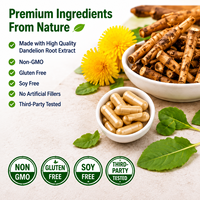 Capsules d'extrait de racine de pissenlit naturel à marque privée, vente directe d'usine, complément alimentaire à base de plantes, échantillon disponible