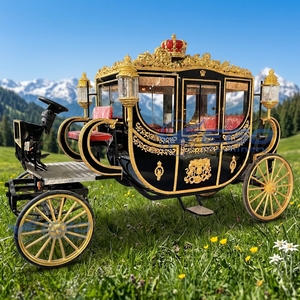 Carrosse de Princesse Électrique Sans Chevaux Cendrillon, Prix d'Usine en Gros, pour Visites Touristiques, à Vendre - Product Image 1
