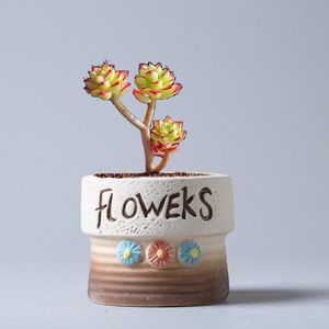 Maceta de Cerámica Pequeña en Forma de Hongo, Estilo Rústico Pastoral, Autoabsorbente, Transpirable, Tallada a Mano, Diseño Inteligente, <span class=keywords><strong>Kit</strong></span> de Maceta para Plantas Suculentas - Product Image 3